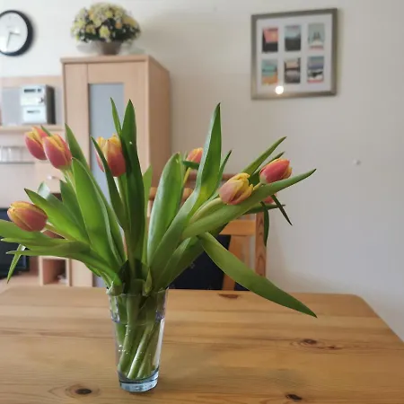 Schluchseeglueck Mit Pool