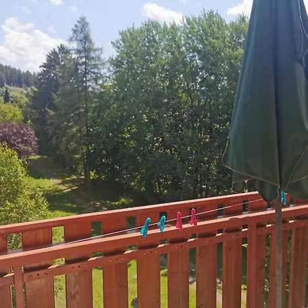 Apartamento Schluchseeglueck Mit Pool *